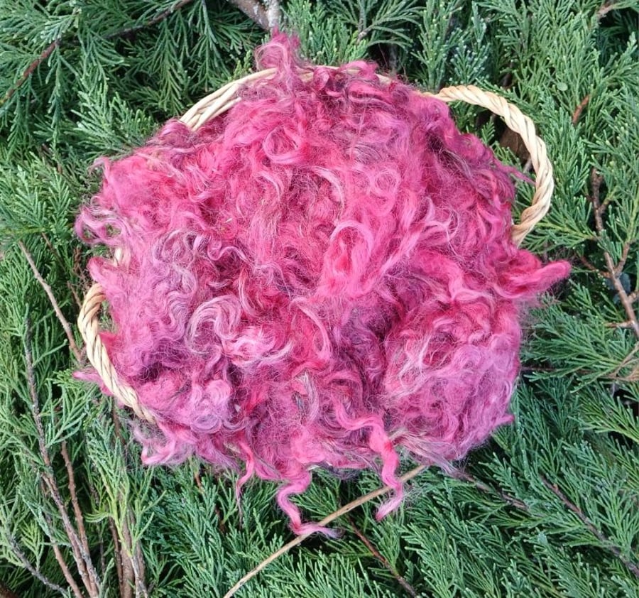 50g Raspberry Gotland Fleece