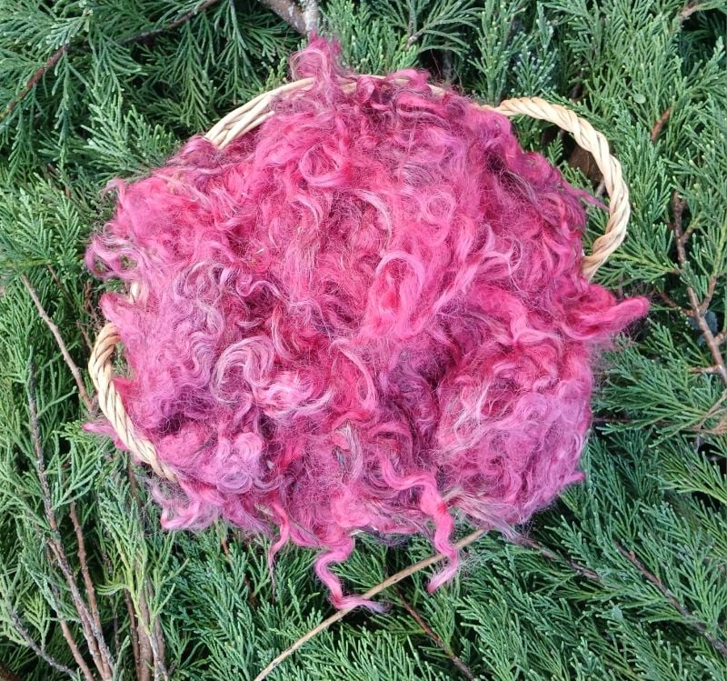 50g Raspberry Gotland Fleece