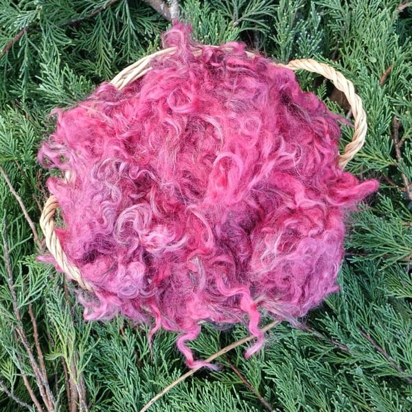 50g Raspberry Gotland Fleece