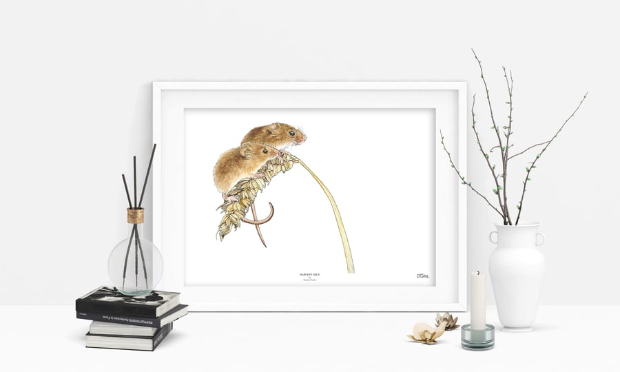 Harvest Mice Art Print - 'Harvest Mice' - A5 A4 A3 Wildlife Art Print