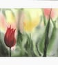 Red Tulip Greetings Card - Image 2