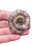 Needle felted spiral brooch in shades of beige and brown - Image 1