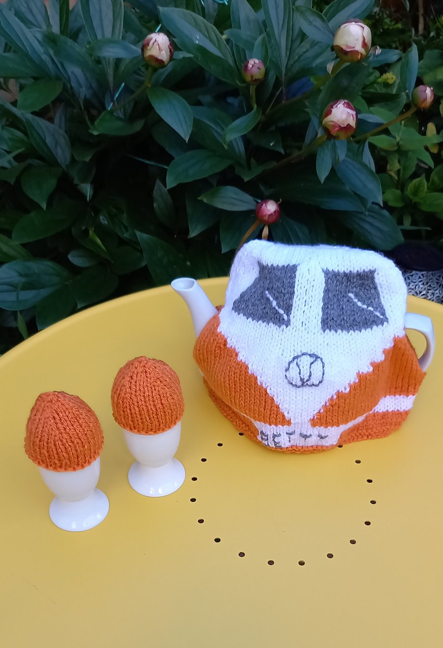 Campervan tea cosy