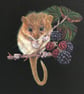 'Bramble Gatherer' a limited edition, mounted, Giclee print of a hazel dormouse  - Image 5