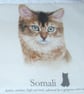 Ocicat, Somali, Burmilla and Norwegian Forest cats portraits cushion  - Image 3