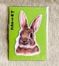 Rabbit Fridge Magnet