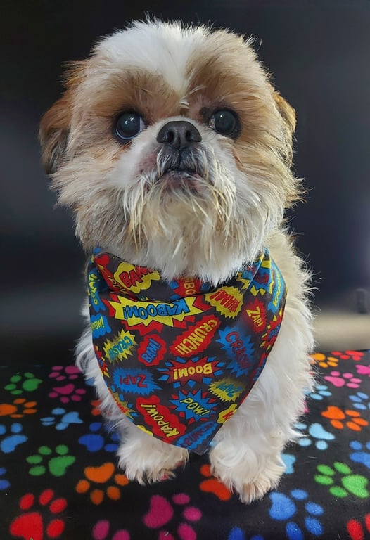 Handmade Dog Bandana Comic book fabric bandana for puppy, dog Personalised dog n