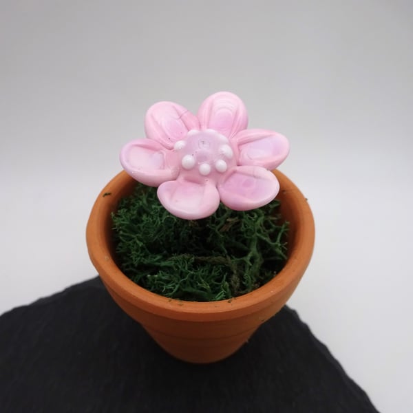 small glass flower gift, pink
