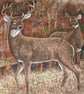 Stag and Deer in an Autumnal forest cushion - Image 3