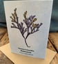 Single Seaweed Greeting Card - Bladderwrack - Image 2
