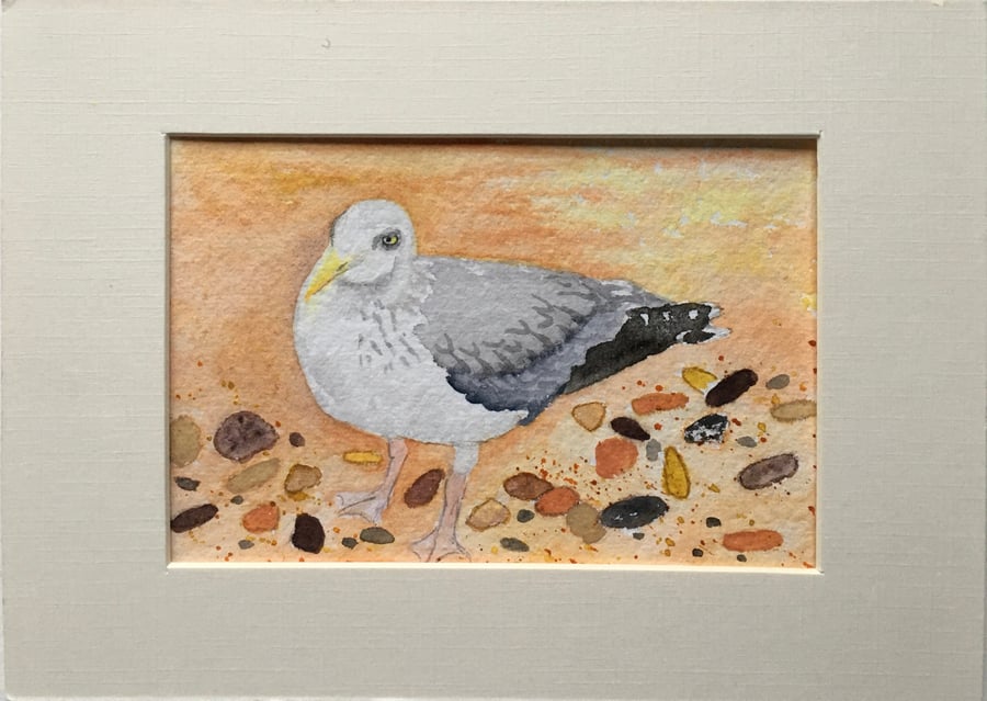 Beach seagull art 