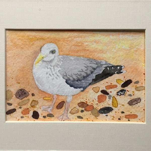 Beach seagull art 