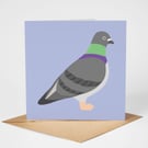 Pigeon Card, Bird Greeting Card, Eco Friendly Blank Card, Garden Bird Card