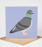 Pigeon Card, Bird Greeting Card, Eco Friendly Blank Card, Garden Bird Card