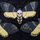 Death Head Hawkmoth - ceramic wall decoration