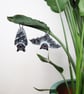 Hanging bat decoration for plant, set of 2 spooky halloween bat ornaments - Image 1