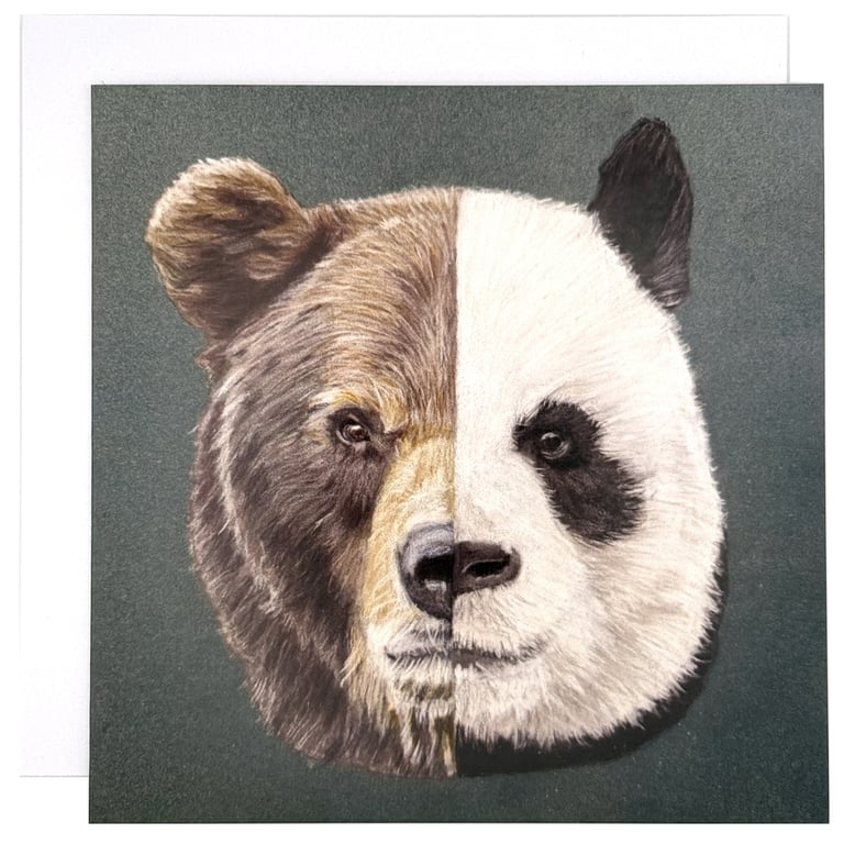 Bear and Panda Greeting Card – Blank Inside Animal Art Card