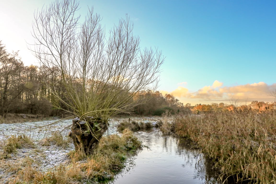 River Wensum on a wintery morning.