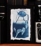 Botanical Cyanotype Photo Print in 12 x 17cm frame. O.O.A.K