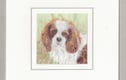 Dog Cards
