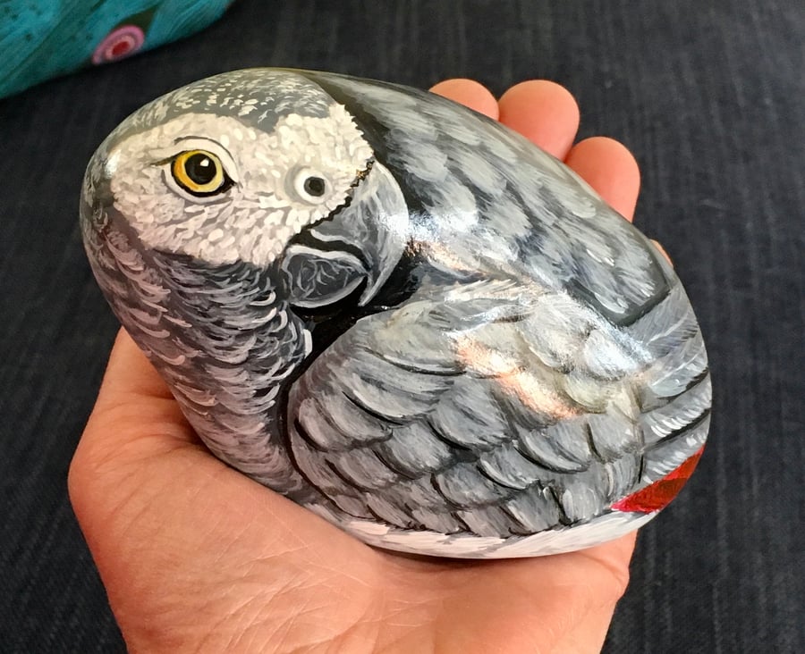 Grey Amazon parrot painted pebble garden rock art pet stone portrait 