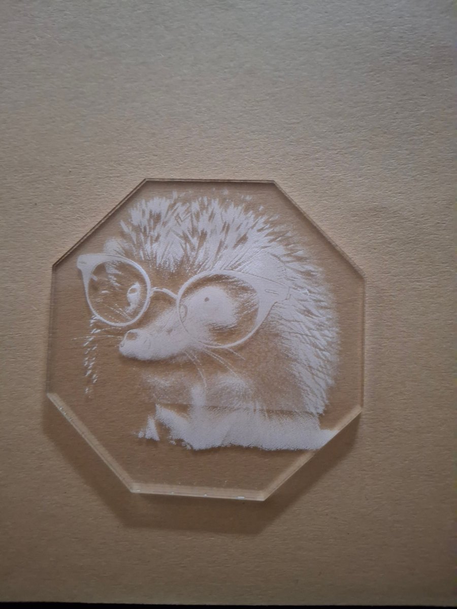 Hedgehog wearing glasses acrylic coaster