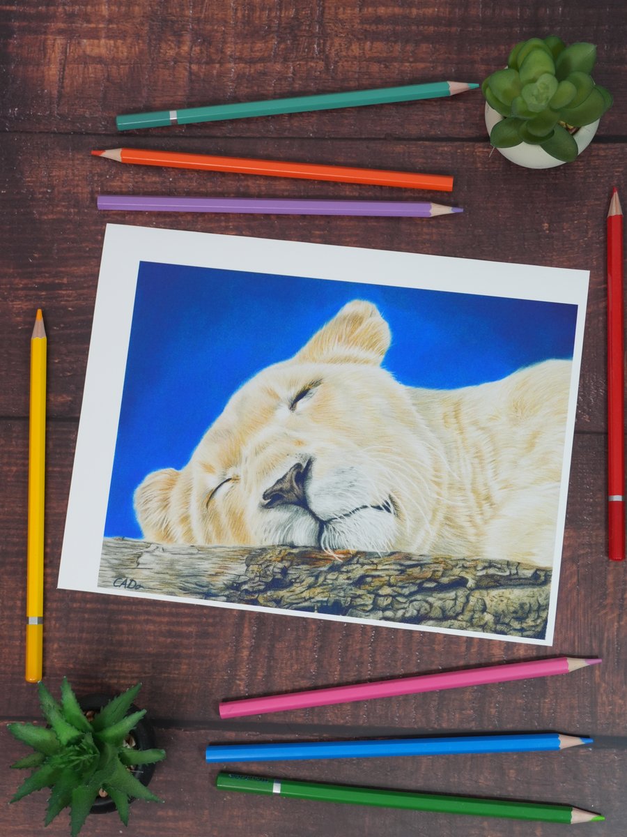 Perfectly Imperfect Fine Art Print of "Rise Again" Lioness SAMPLE