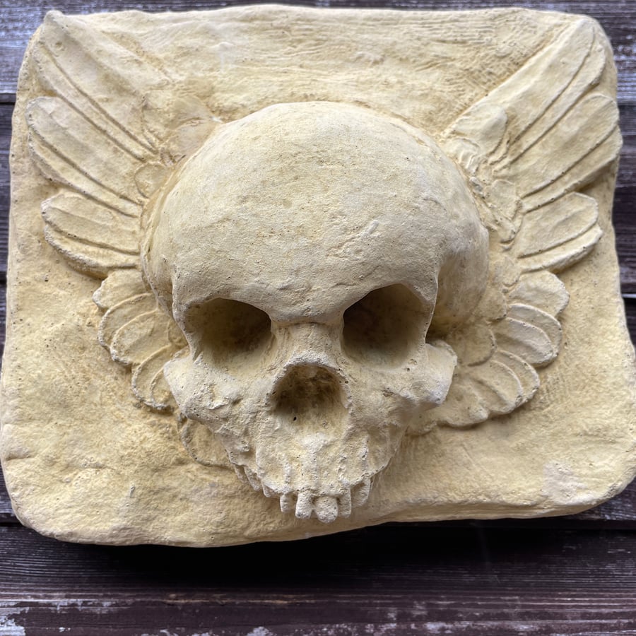 Masonic Curiosity Memento Mori Skull & Winged Vanitas Cartouche Sculpture