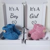 Its A Boy or Its A Girl Gender Reveal Boxed Booties 