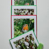 Small Square Snowdrops and Robin Photographic Cards 5" x 5" Pack of 4 Blank