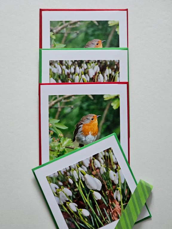 Small Square Snowdrops and Robin Photographic Cards 5" x 5" Pack of 4 Blank