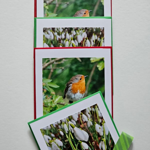Small Square Snowdrops and Robin Photographic Cards 5" x 5" Pack of 4 Blank