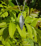 Ash Leaf Necklace