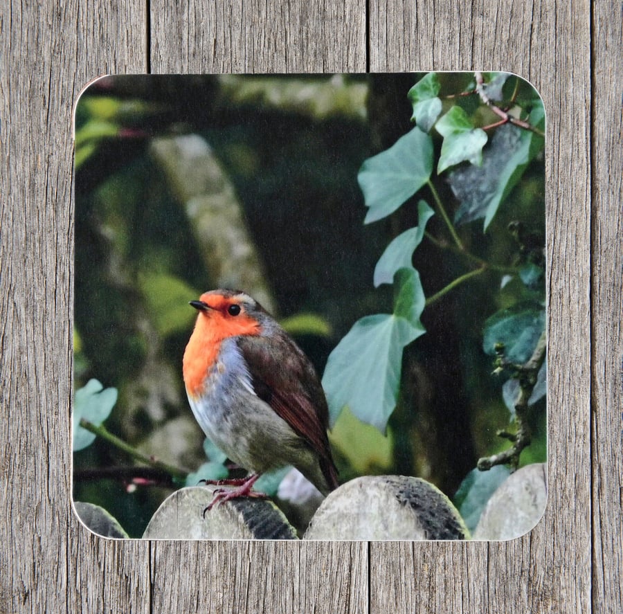 Coasters. Robin sitting on a garden fence. Photo image cork backed