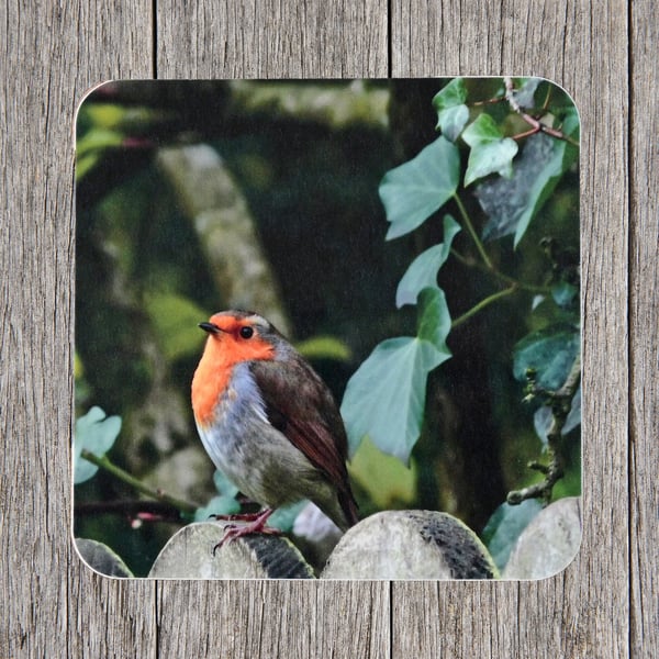 Coasters. Robin sitting on a garden fence. Photo image cork backed