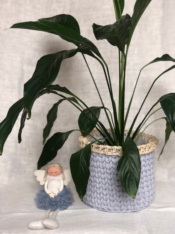 Plant pot, storage basket 