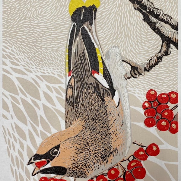 Waxwing and Rowan berries II - Handmade Limited Edition Lino Print 