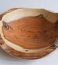 Yew bowl - Image 4