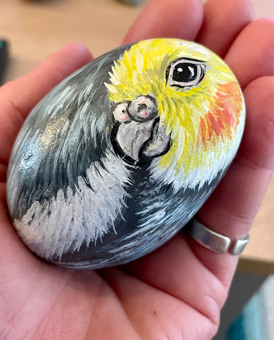 Cockatiel hand painted pebble 