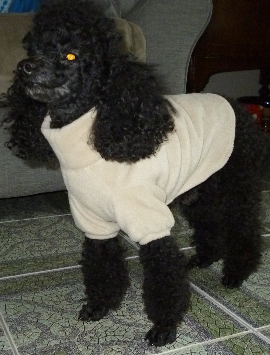 Dog sweater in fleece, bespoke, small- suitable for toy poodle, small terriers