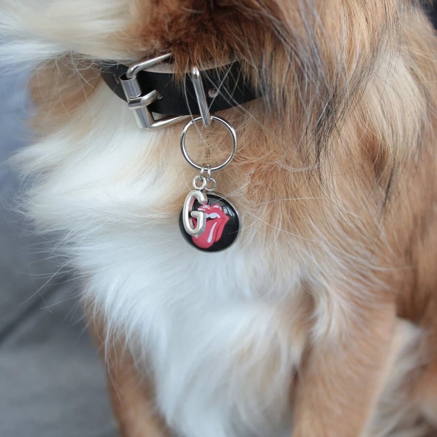 Rock collar charm, charm for dog collar