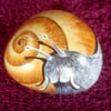 Hand painted garden snail on rock