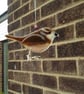 Jenny Wren, Fuses glass bird- British bird- Garden bird-Gift-Birds