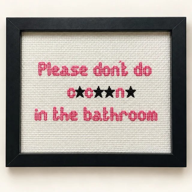 Funny Handmade Framed Cross-Stitch – Please Don't Do C.c..n. in the Bathroom 