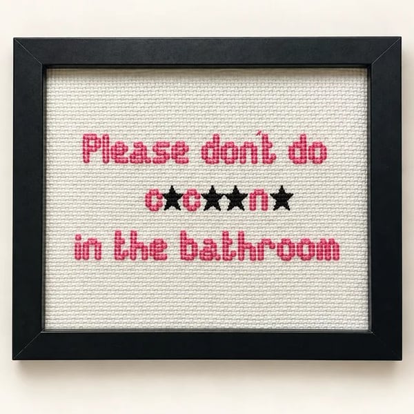 Funny Handmade Framed Cross-Stitch – Please Don't Do C.c..n. in the Bathroom 