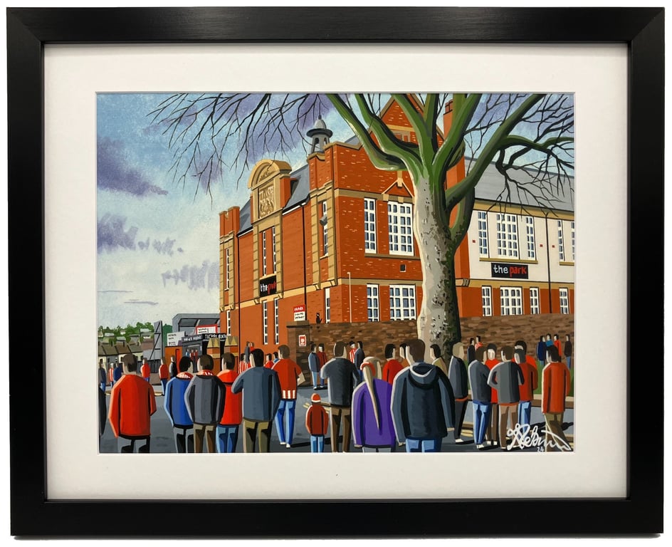 Exeter, Framed & Unframed Fine Art Print, City Football Club FC, Stadium Gift