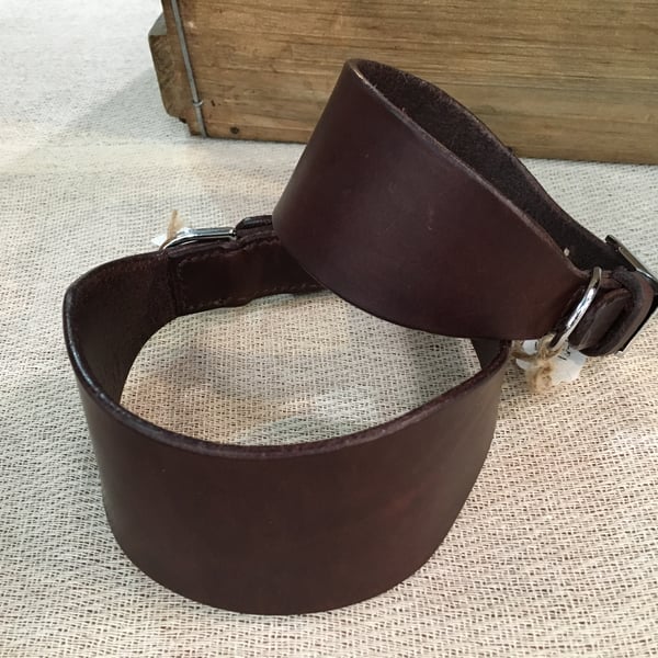 Leather greyhound collar; whippet collar; choice of colour