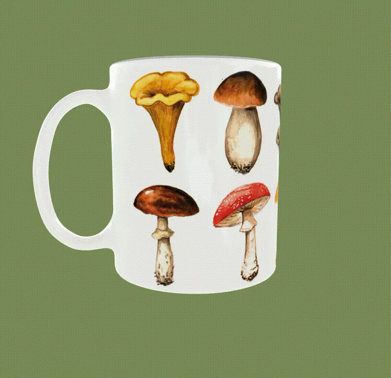Edible and Poisonous Mushrooms Ceramic Mug