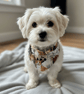 Reversible Dog Bandana for Small Dog.   - Image 3