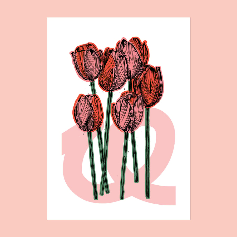 Illustrated Pink Orange Tulips Art Print - A4